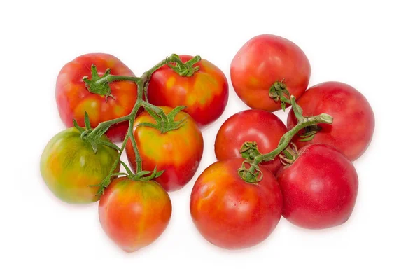 Dipilih Segar Berbagai Tomat Pada Dua Ranting Pada Latar Belakang — Stok Foto