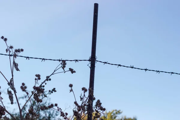 錆びた鉄の棒を持つ古いフェンスの部分のシルエットと明確な空を背景に鉄条網と乾燥したゴボウを伸ばし — ストック写真
