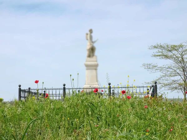 Fioritura Selvatici Papaveri Campo Crescita Uno Sfondo Sfocato Monumento Soldati — Foto Stock