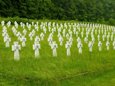 Military cemetery of ukrainian soldiers of 1st Galician Division who died in the World War II in battle of Brody, Lviv Oblast, Ukraine clipart