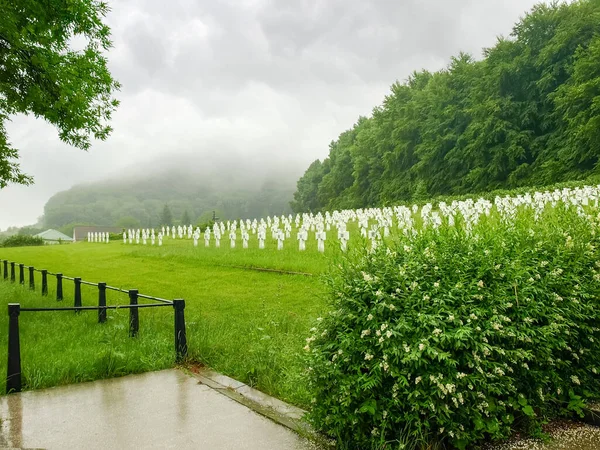 Cimitero Militare Soldati Ucraini Della Divisione Galiziana Che Morirono Nella — Foto Stock