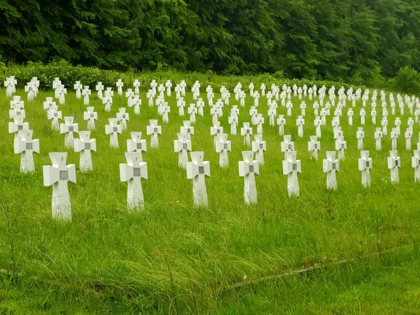 Cimitero Militare Soldati Ucraini Della Divisione Galiziana Che Morirono Nella — Foto Stock