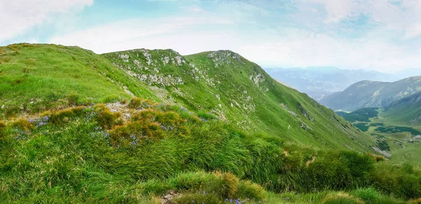 Alter Militärgraben Seit Dem Ersten Weltkrieg Mit Dichtem Gras Bewachsen — Stockfoto