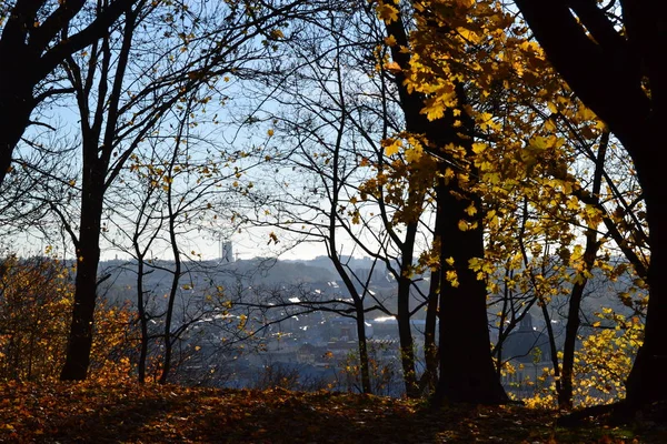 Ukrayna. Lviv. peyzaj şehir. Sonbahar