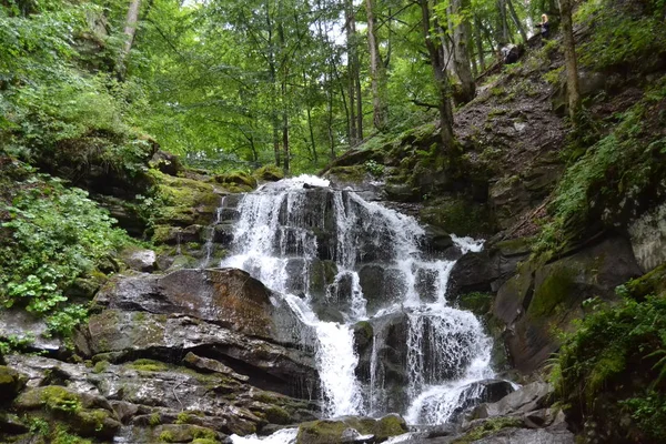 Ukrayna. Şelale. Dağları. Karpaty