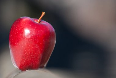 Ahşap çit üzerinde bir Kırmızı elma