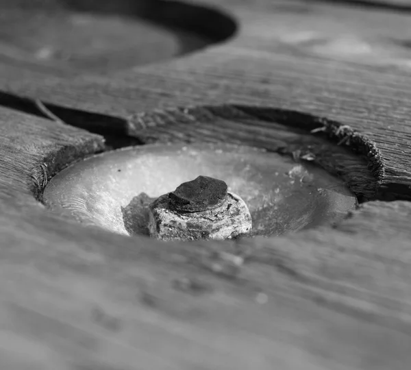 Rusty screw and bolt into a wood — Stock Photo, Image