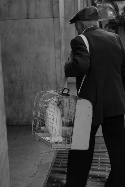 Ein alter Mann, der seinen Papagei in einem Käfig spaziert - schwarz-weiß — Stockfoto