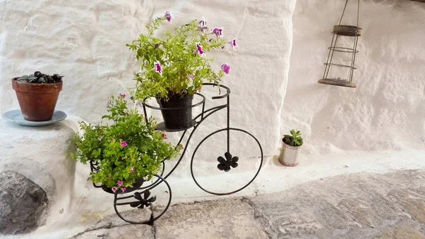 Surfinie en geraniums in een oude fiets gebruikt als een houder - Italië — Stockfoto