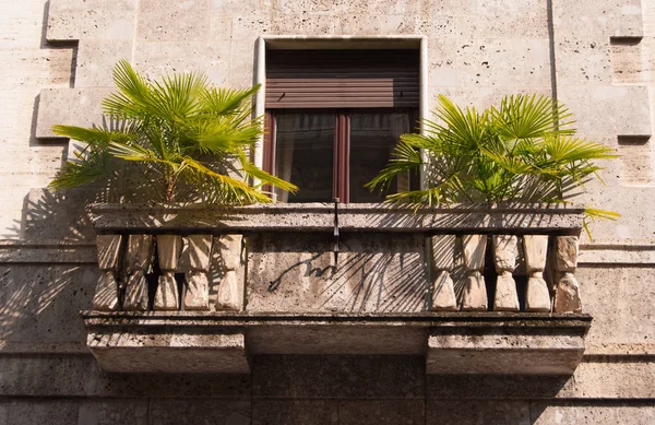 Bijzondere balkon met twee palmen — Stockfoto