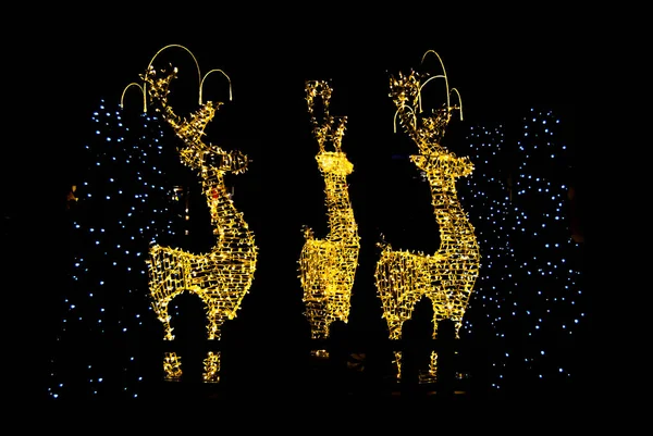 Três luzes de Natal renas na noite escura — Fotografia de Stock