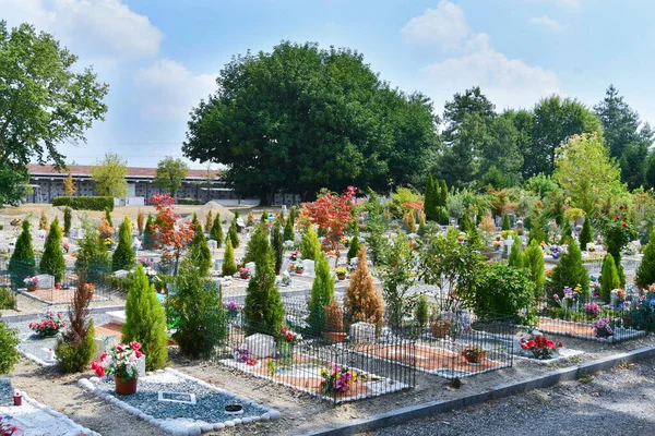 Large overview of part of a cemetery with flowers and decorative trees