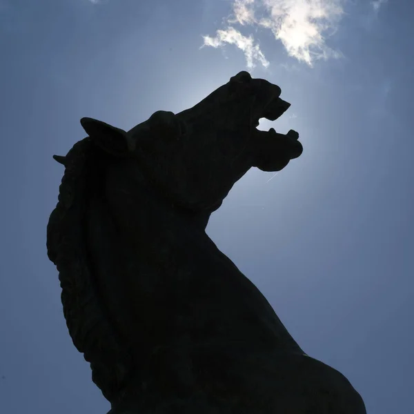 Vista Cerca Estatua Con Caballo Cerca Del Parlamento Serbia Montenegro — Foto de Stock