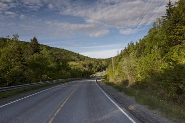 Boş yol ortasında ağaçların tepeleri, Ceilidh iz, Cape Breton Adası, Nova Scotia, Kanada