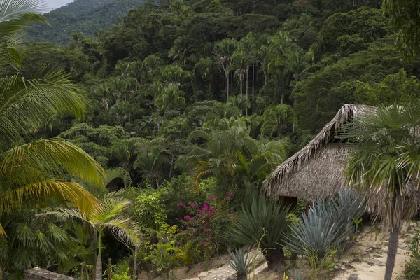 Cabaña Paja Selva Tropical Yelapa Jalisco México — Foto de Stock