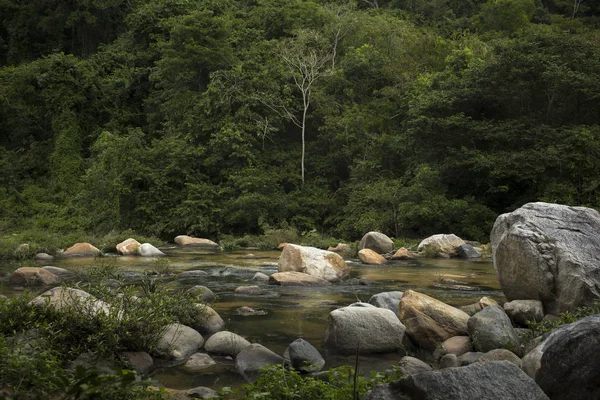 Vista Panorámica Del Río Que Fluye Bosque Yelapa Jalisco México — Foto de Stock