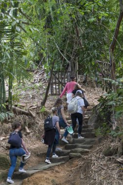 Ormanda, Jalisco, Meksika izinde hiking turist