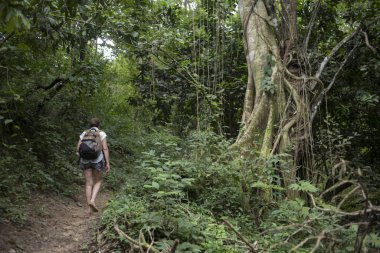 Kadın ormanda, Yelapa, Jalisco, Meksika izinde hiking