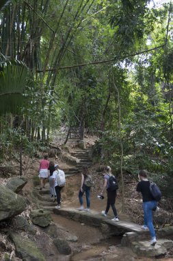 Ormanda, Jalisco, Meksika izinde hiking turist