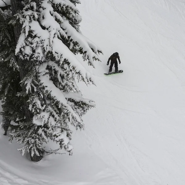 Tourist Snowboarding Mountain Whistler British Columbia Canada — Stock Photo, Image