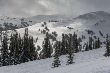 Yaprak dökmeyen ağaçlar karda dağ, kaplı Whistler, British Columbia, Kanada