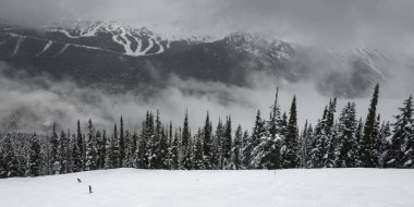 Kar doğal görünümünü Whistler, British Columbia, Kanada dağ silsilesi arka planda ağaçlarıyla kaplı