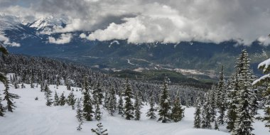 Kar Whistler, British Columbia, Kanada dağ silsilesi arka planda ağaçlarıyla kaplı