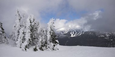 Kar Whistler, British Columbia, Kanada arka planda dağ ağaçlarıyla kaplı