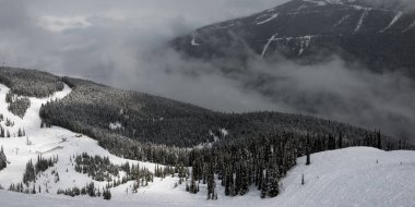 Ağaçlar dağ, Whistler, British Columbia, Kanada doğal görünümü kar kaplı