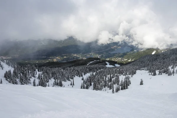 ウィスラー ブリティッシュ コロンビア州 カナダ村の背景には 山の常緑樹が雪に覆われています — ストック写真