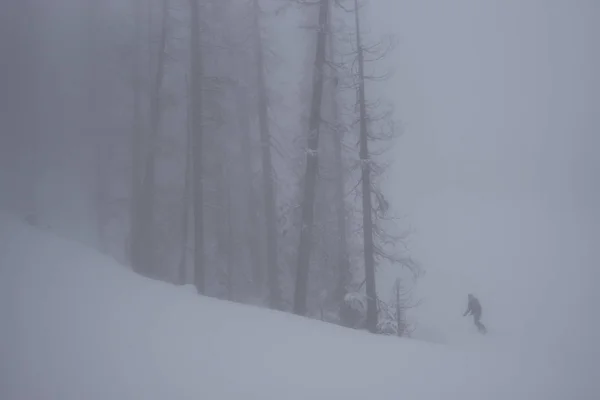 Skier Side Trees Fog Whistler British Columbia Canada — Stock Photo, Image