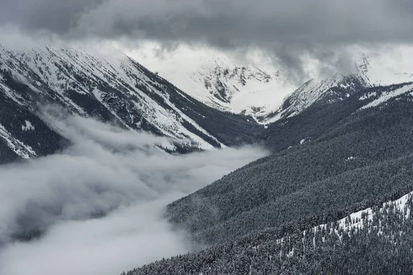 Живописный Вид Снежный Хребет Уистлер Британская Колумбия Канада — стоковое фото