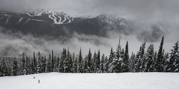 Scenic View Snow Covered Trees Mountain Range Background Whistler British — Stock Photo, Image