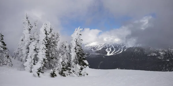 Alberi Innevati Con Montagne Sullo Sfondo Whistler Columbia Britannica Canada — Foto Stock