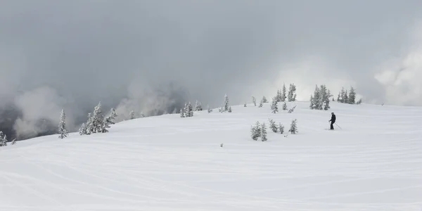 Sciatore Montagna Innevata Whistler British Columbia Canada — Foto Stock