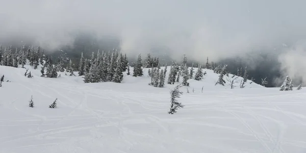 Pistes Ski Sur Montagne Enneigée Whistler Colombie Britannique Canada — Photo