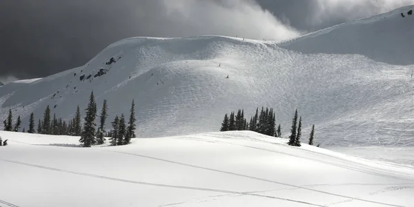 Ski Tracks Snowy Mountain Whistler British Columbia Canada — Stock Photo, Image