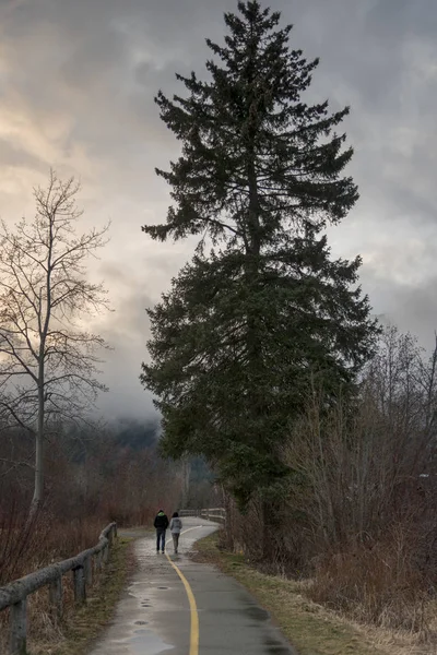 Vista Trasera Dos Personas Caminando Por Carretera Whistler Columbia Británica — Foto de Stock