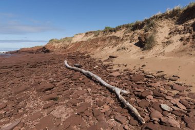 Dalgaların karaya attığı odun ve kaya oluşumları beach, Green Gables, Cavendish, Prince Edward Island Milli Parkı, Prince Edward Island, Amerika Birleşik Devletleri
