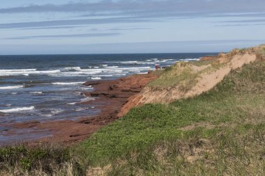 Uzun kıyı şeridi, Green Gables, Cavendish, Prince Edward Island Milli Parkı, Prince Edward Island, Kanada doğal görünümü