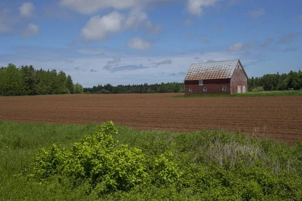 Barn Farm Kensington Prince Edward Island Canada — Stock Photo, Image