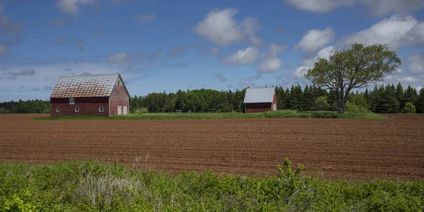 Barns Farm Kensington Prince Edward Island Canada — Stock Photo, Image