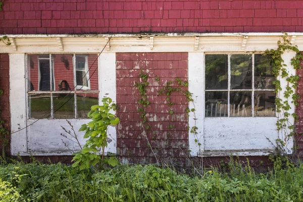 Windows House Victoria Prince Edward Island Canada — Stock Photo, Image