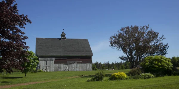 Barn Field Albany Prince Edward Island Canada — Stock Photo, Image