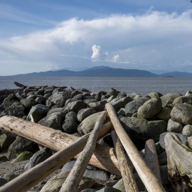 Günlükleri ve buzlu batık Beach, suların çekildiği kıyı yolu, Vancouver, British Columbia, Kanada