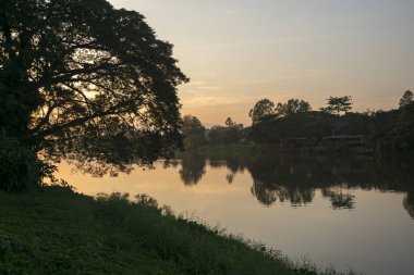 Ağaçlar riverside adlı günbatımı, Chiang Rai, Tayland, silüeti