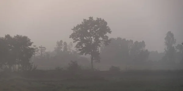 Misty Landscape Early Morning Chiang Rai Thailand — Stock Photo, Image
