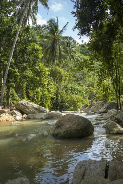 Corriente Que Fluye Través Del Bosque Koh Samui Provincia Surat — Foto de Stock