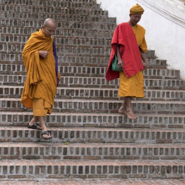 Rahipler Laos Luang Prabang, merdivenlerden taşıma