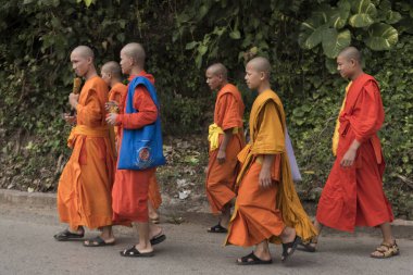 Group of monks walking on road, Luang Prabang, Laos clipart